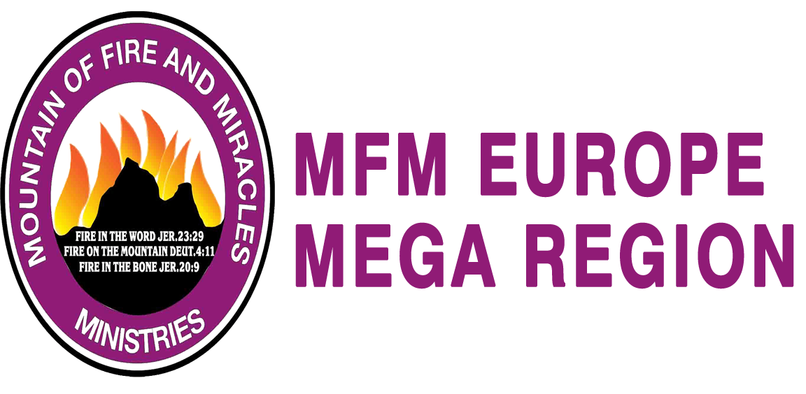 mfmeuropemegaregion.org